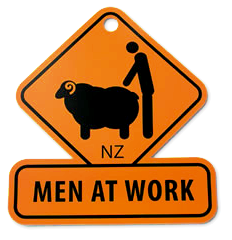 Traženje posla na Novom Zelandu