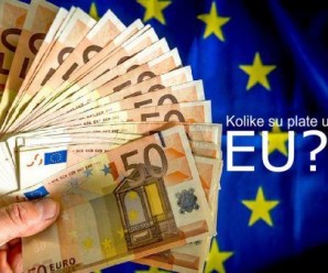 Gde su najviše plate u EU, a gde najniže?